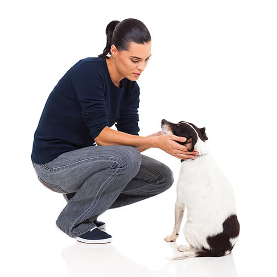a man playing with his dog and he buy a pet trust for his dog to ensure his dog deserve better